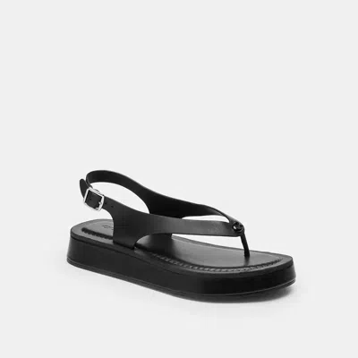 Coach Sculpted C Platform Thong Sandal In Black