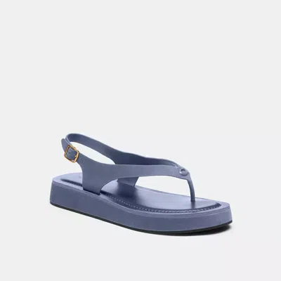 Coach Sculpted C Platform Thong Sandal In Blue
