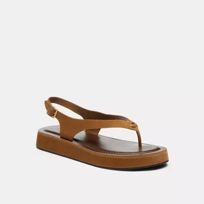 Coach Sculpted C Platform Thong Sandal In Brown