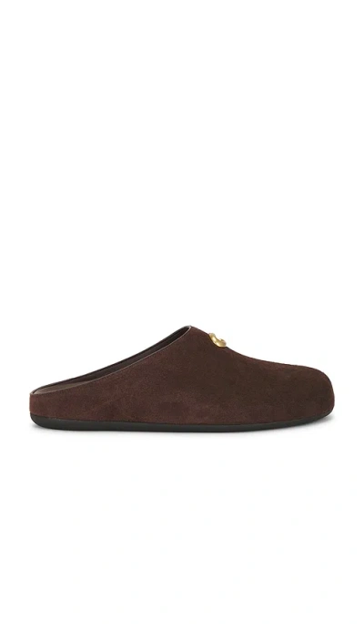 Coach Sculpted C Soft Mule In Chocolate Suede