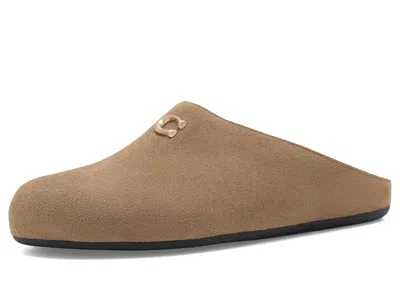 Coach Sculpted C Suede Soft Mules Women's Flat Shoes Coconut: 6 M In Brown