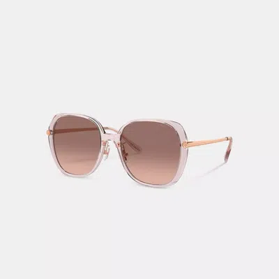 Coach Sculpted Tea Rose Round Sunglasses