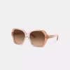 Coach In Brown Gradient