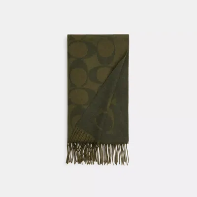 Coach Signature Oversized Muffler In Green