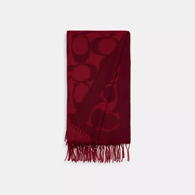 Coach Signature Oversized Muffler In Red