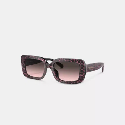 Coach Signature Oversized Rectangle Sunglasses In Black/pink