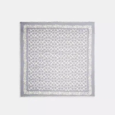 Coach Signature Rose Meadow Print Oversized Square Scarf In Gray