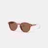 Coach Signature Round Sunglasses In Caramel Tortoise