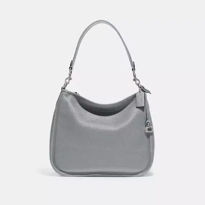 Coach In Silver/grey Blue