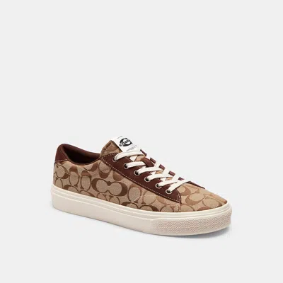 Coach Skate Sneaker In Brown