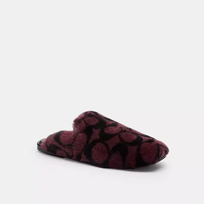Coach Slipper In Signature Shearling In Burgundy