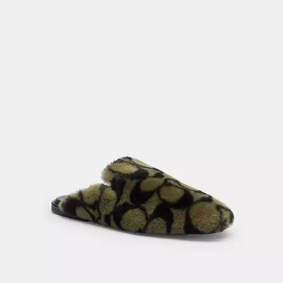 Coach Slipper In Signature Shearling In Green