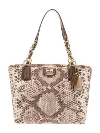 Pre-owned Coach Snakeskin Tote In Neutral
