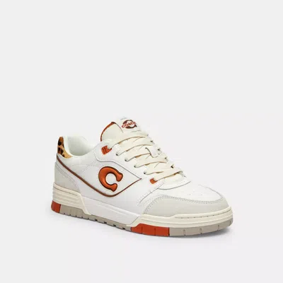 Coach Soho Sneaker In Brown