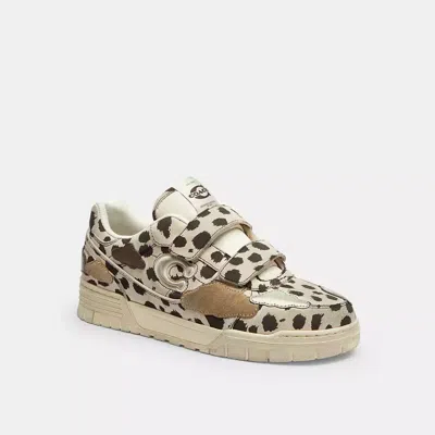 Coach Soho Sneaker Mit Doppelriemen Und Wolken In Black