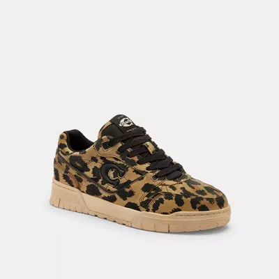 Coach Soho Sneaker With Leopard Print In Brown