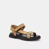 Coach Sport Sandal In Beige