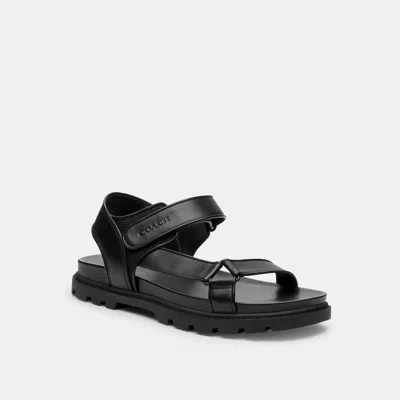 Coach Sport Sandal In Black