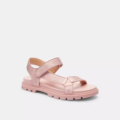 Coach Sport Sandal In Signature Canvas In Pink