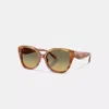 Coach Square Sunglasses In Brown
