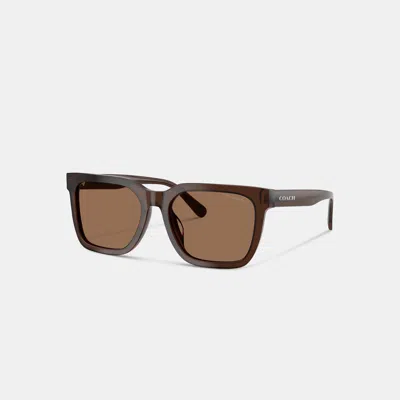Coach Square Sunglasses In Transparent Brown