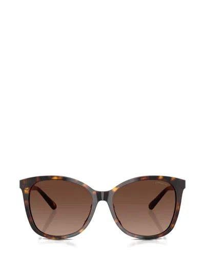 Coach Square-frame Sunglasses In Brown