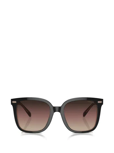 Coach Square-frame Sunglasses In Brown