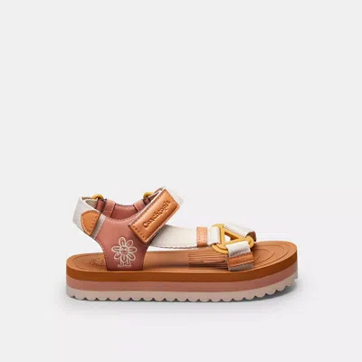 Coach Strappy Sandal In Brown/white