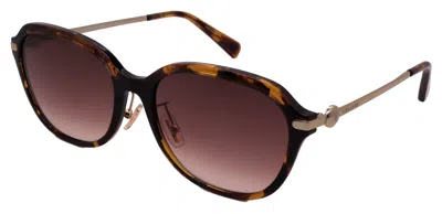 Coach Sunglasses Hc8332d-512013-56-17-145 Non-polarized In Brown