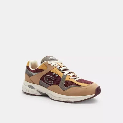 Coach In Taupe/merlot