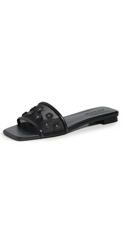 Coach Tea Rose Flat Sandals Black