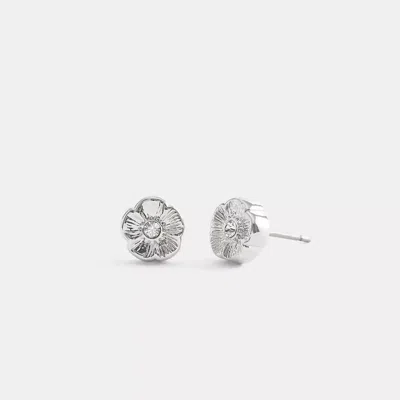 Coach Tea Rose Stud Earrings In Silver
