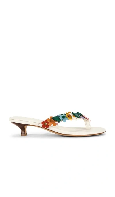 Coach Tea Rose Thong Kitten Heel In Gray