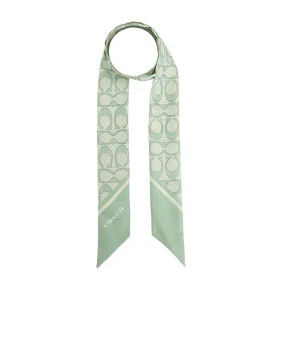 Coach Textured Print Narrow Scarf In Green