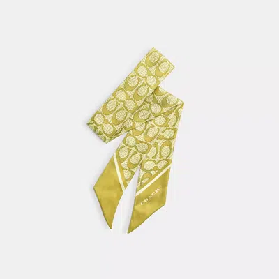 Coach Textured Signature Print Silk Skinny Scarf In Green
