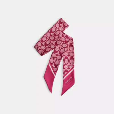 Coach In Dragon Fruit
