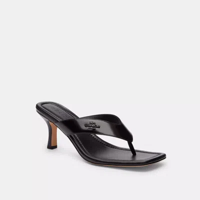 Coach Thong Kitten Heel In Black