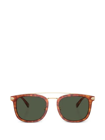 Coach 玳瑁纹双鼻架太阳眼镜 In Brown