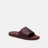 Coach Udele Sport Slide In Signature Canvas In Purple