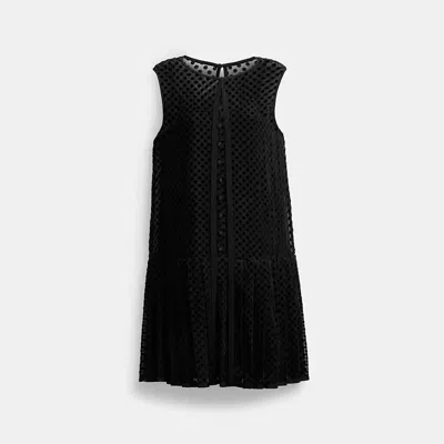 Coach Velvet Burnout Dress In Black