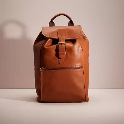 Coach Vintage Backpack In Brown