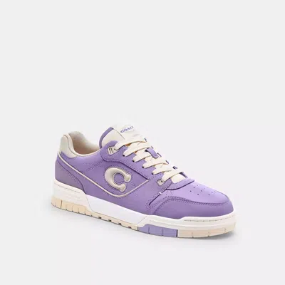Coach In Violet