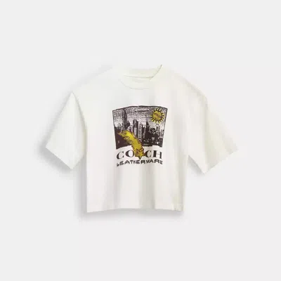 Coach In White