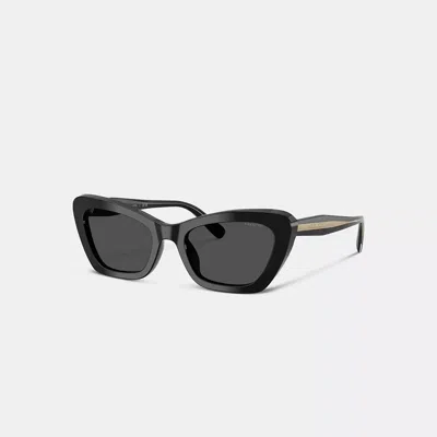 Coach Wire Cat Eye Sunglasses In Black