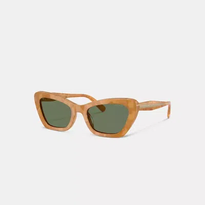 Coach Wire Cat Eye Sunglasses In Brown
