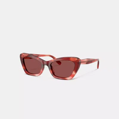 Coach Wire Cat Eye Sunglasses In Brown