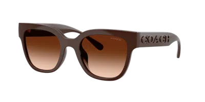 Coach Woman Sunglass Cft88 In Multi