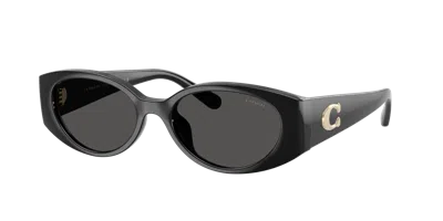 Coach Woman Sunglass Cfu06 In Black