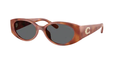 Coach Woman Sunglass Cfu06 In Brown