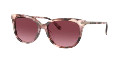 Coach Woman Sunglass Cl926 In Burgundy Gradient